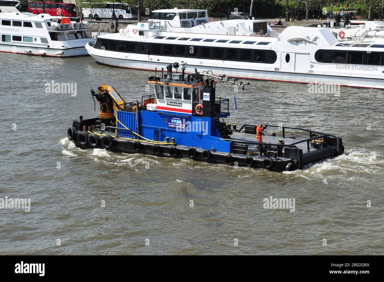 M.P.V. 'Shake Dog' (MMSI: 235093883) nave di supporto multigatto, River Thames, Londra, Inghilterra, Regno Unito Foto Stock
