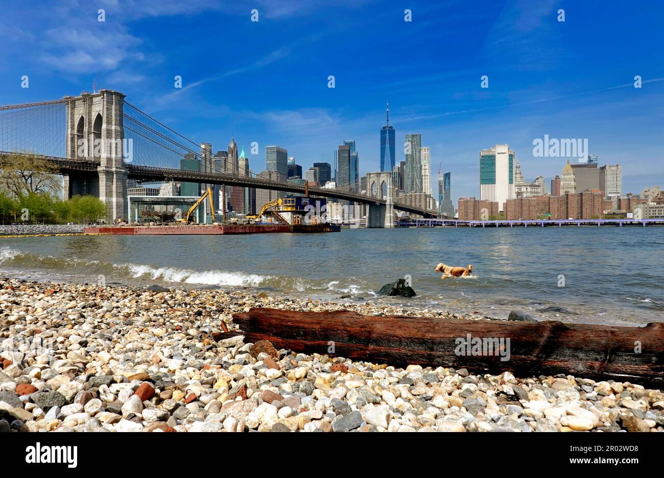La vista attraverso Pebble Beach fino al quartiere finanziario, Manhattan, New York Foto Stock