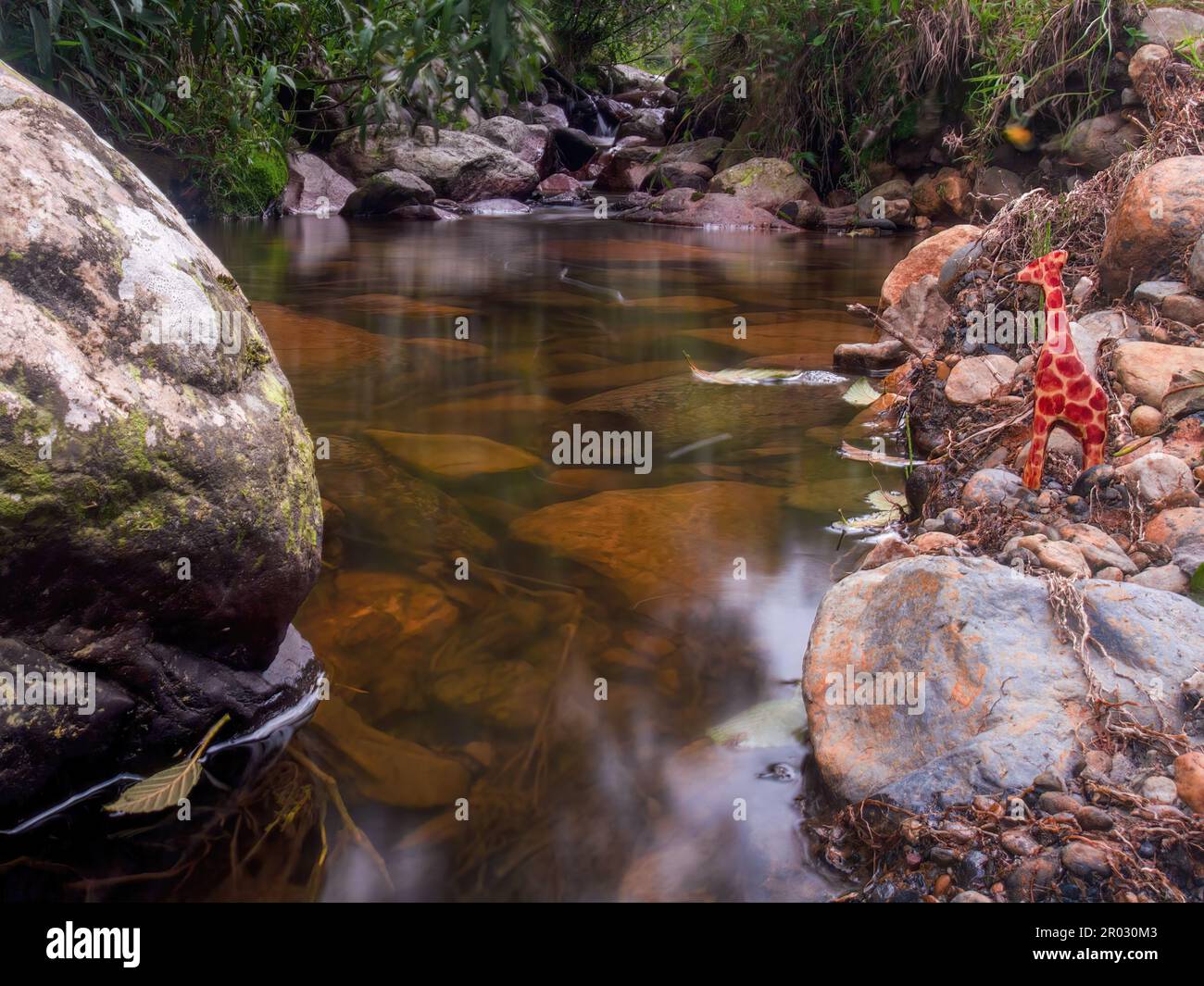 Fotografia a lunga esposizione di una figurina di animali di legno artigianale al bordo di un torrente in una foresta vicino alla città di la Palma nelle Ande centrali di Foto Stock