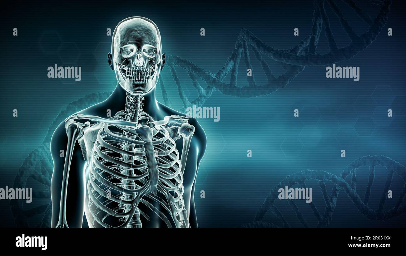 Filamenti di DNA e raggi X del corpo umano e scheletro 3D che rendono l'illustrazione con spazio di copia su sfondo blu. Anatomia, medicina, medicina e genetica Foto Stock