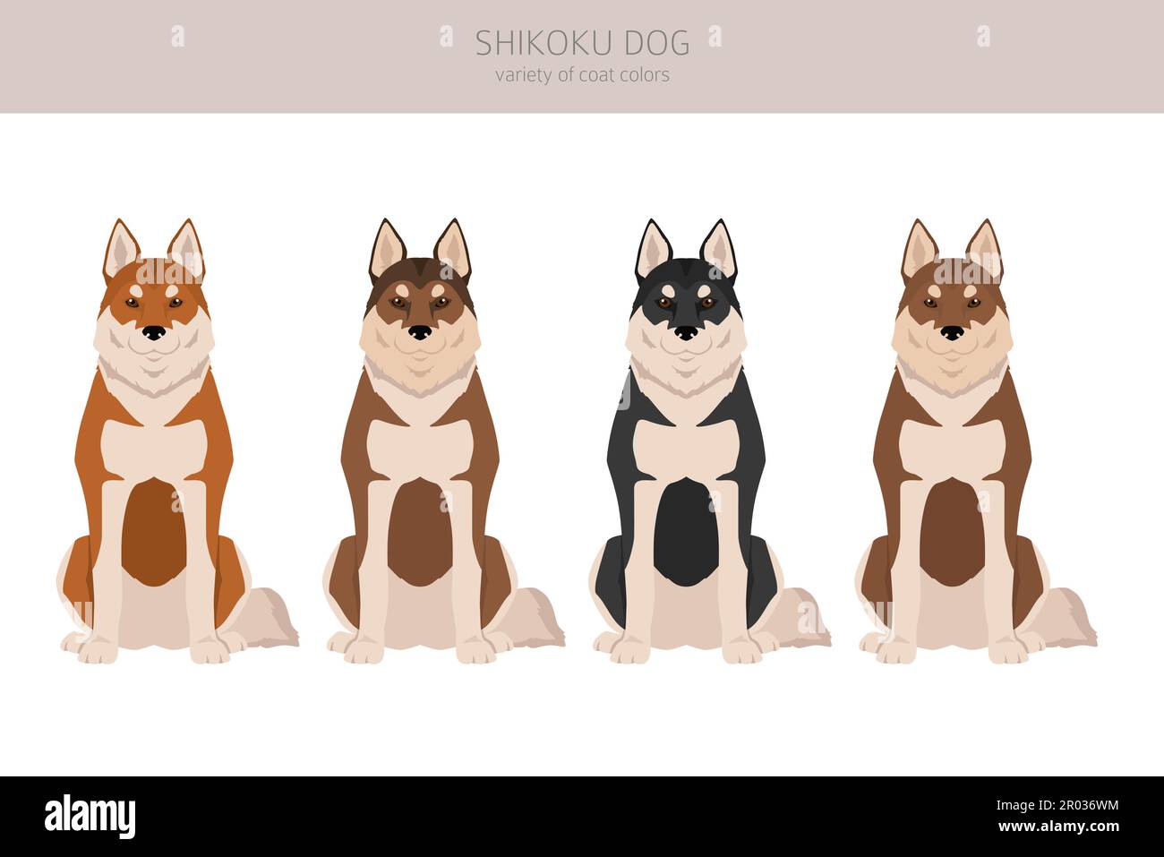 Shikoku cane cappotto colori, diverse pose clipart. Illustrazione vettoriale Illustrazione Vettoriale