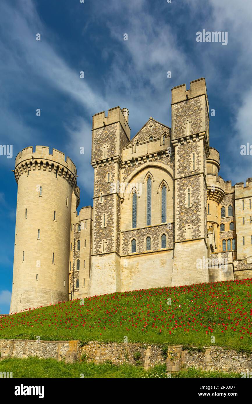 Castello di Arundel. Foto Stock