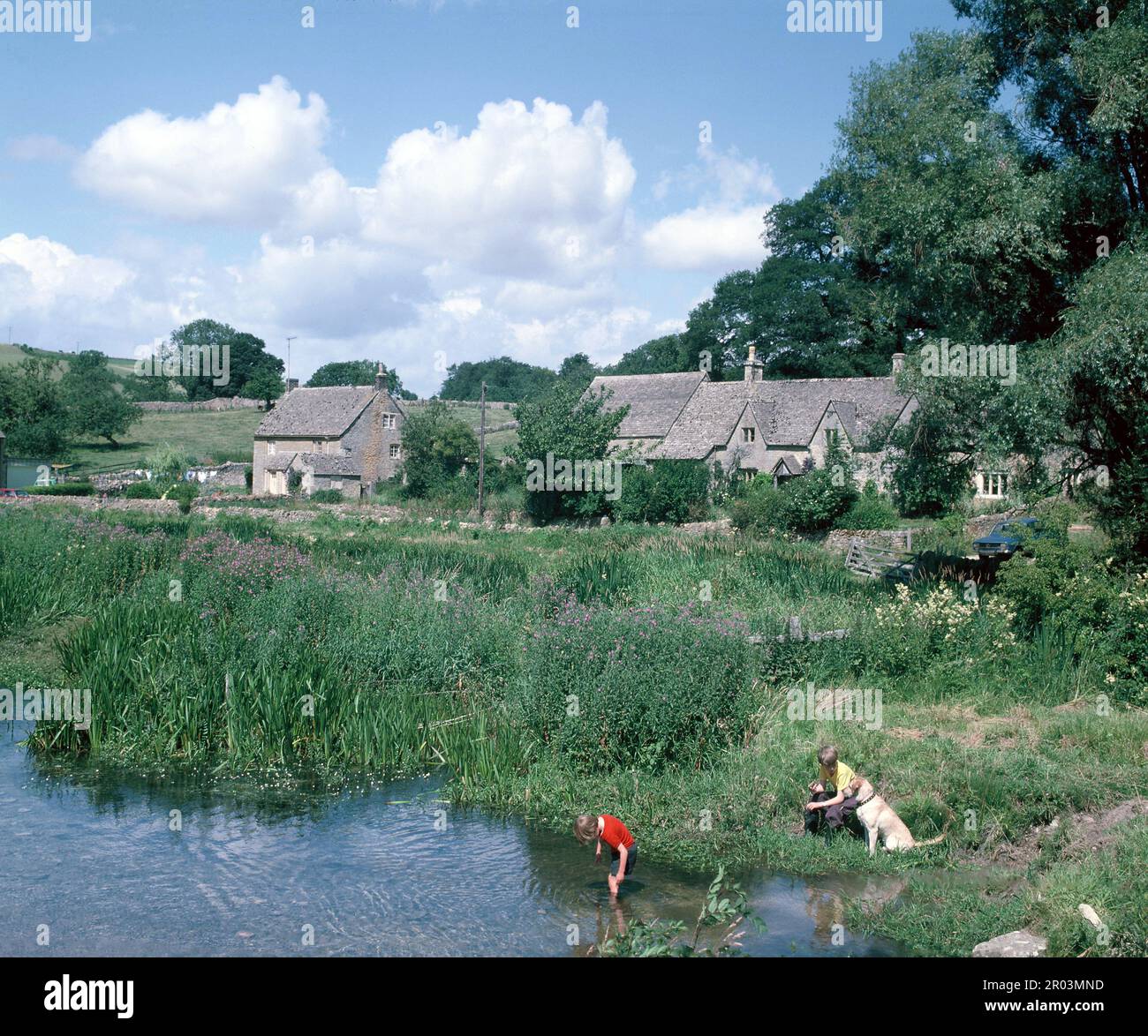 Inghilterra. Gloucestershire. Villaggio di macellazione superiore. Ragazzi con il cane che gioca accanto al River Eye. Foto Stock