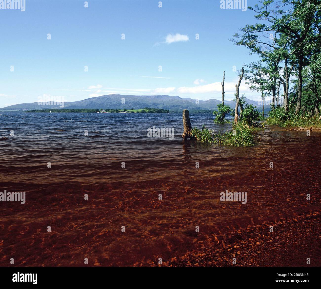 Scozia. Vista di Loch Lomond. Foto Stock