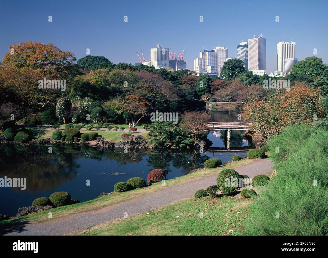 Giappone. Tokyo. Parco ricreativo giardino. Vista di Shinjuku. Foto Stock