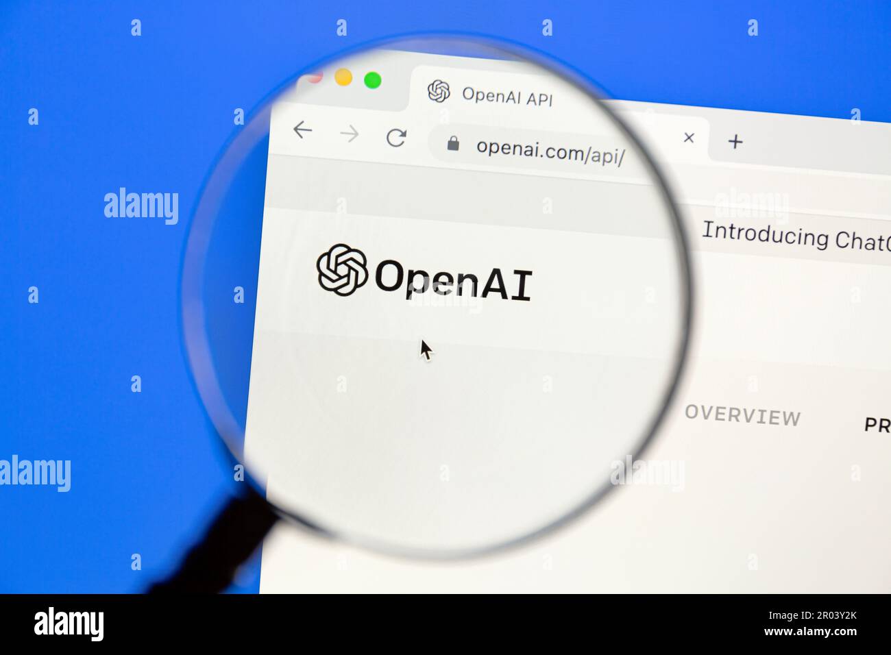 Ostersund, Svezia - 29 gennaio 2023: Sito web openai api sullo schermo di un computer. OpenAI è un laboratorio americano di ricerca di intelligenza artificiale. Foto Stock