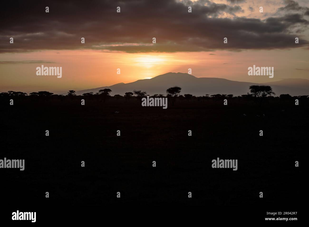 Daybreak a Ndutu, Tanzania, Africa come il sole di mattina presto che sorge sulle montagne lontane silhouette la linea dell'albero sulle pianure Foto Stock