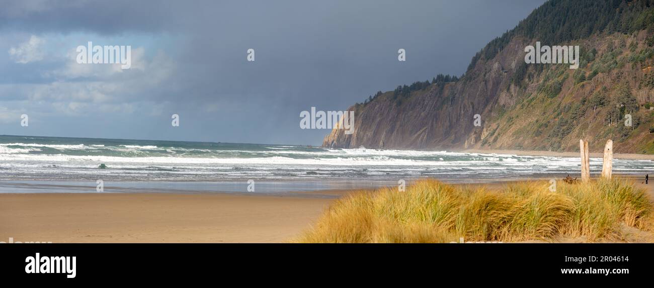 Canon Beach, Oregon, Stati Uniti d'America - 28 novembre 2022: Viste del costato dell'Oregon, di Haystack Rock e di altri panorami dall'Ecola state Park. Foto Stock