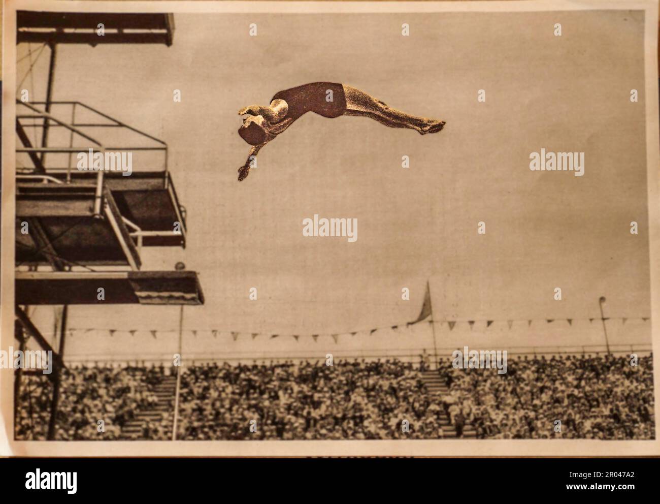 Olimpiadi del 1932, Los Angeles, Olga Jordan subacqueo tedesco e titolare di titolo europeo nel 1931 e nel 1934 in competizione qui alle Olimpiadi del 1932 in cui ha terminato il 4th. Foto Stock
