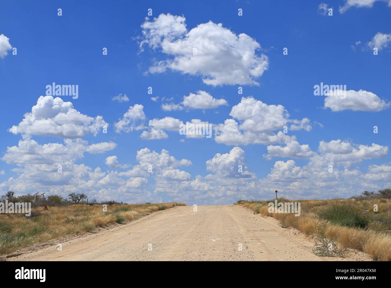 Strada libera in Namibia Foto Stock