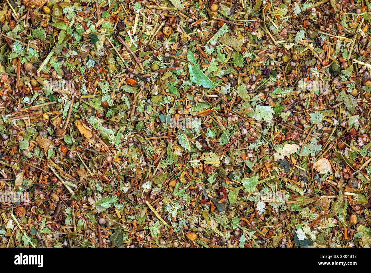 Sfondo di fiori di tiglio secchi. Linden per la preparazione del tè è usato nella medicina popolare. Foto Stock