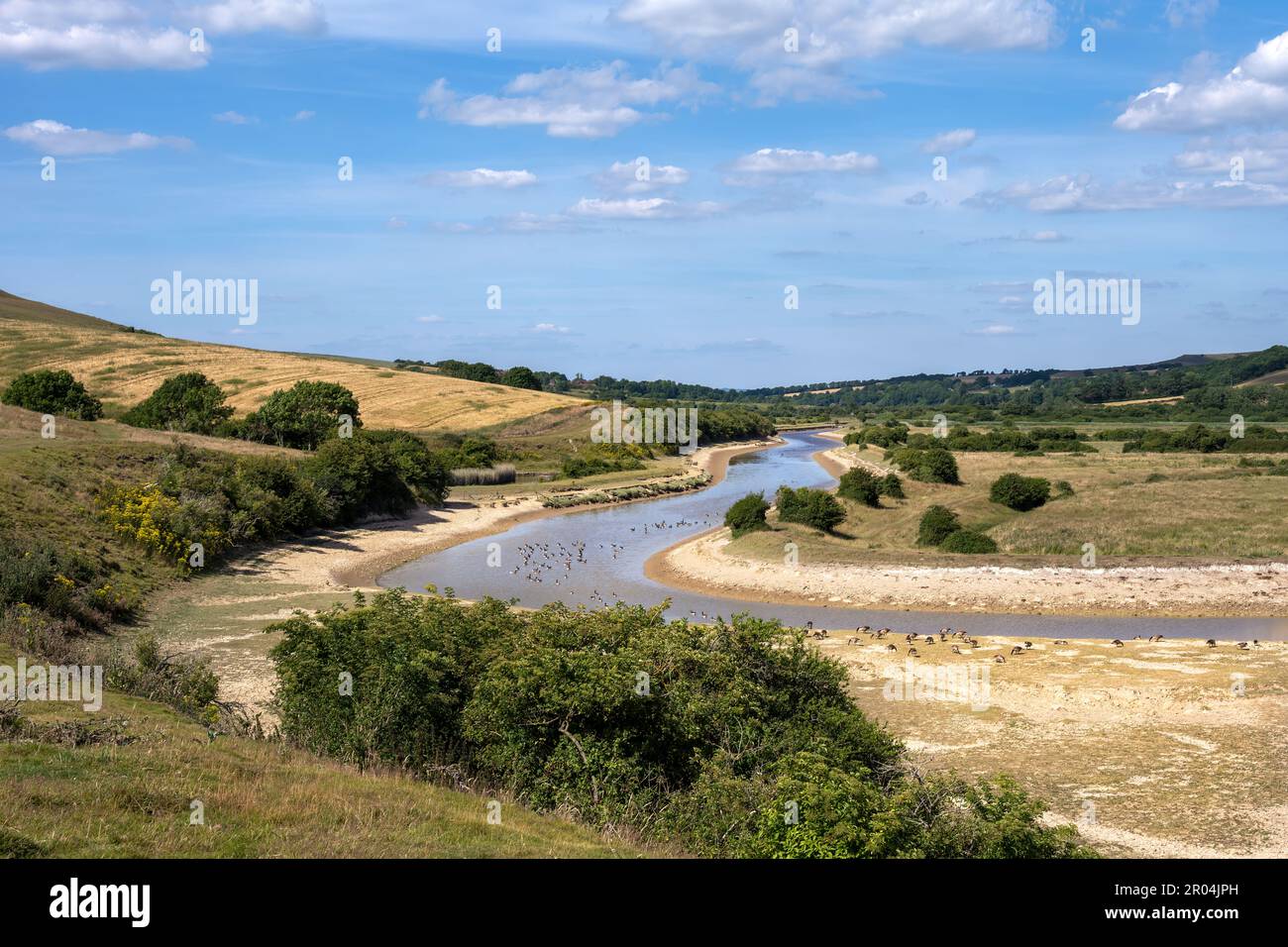 Basso livello di acqua nel fiume Cuckmere, Sussex orientale, Inghilterra, nell'estate 2022 durante una siccità Foto Stock