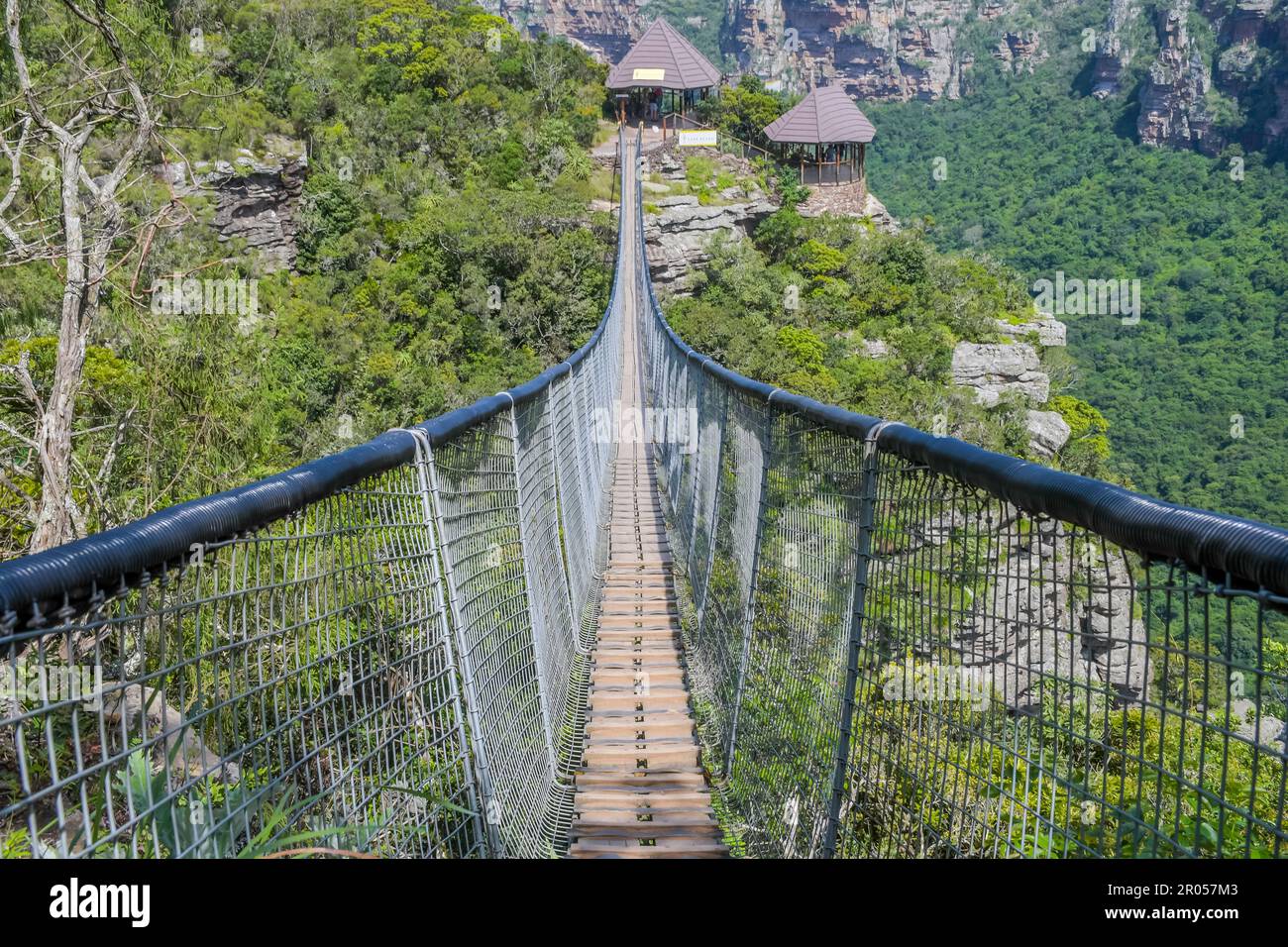 Riserva naturale del lago Eland nella gola di Oribi con un ponte sospeso Sud africa Foto Stock