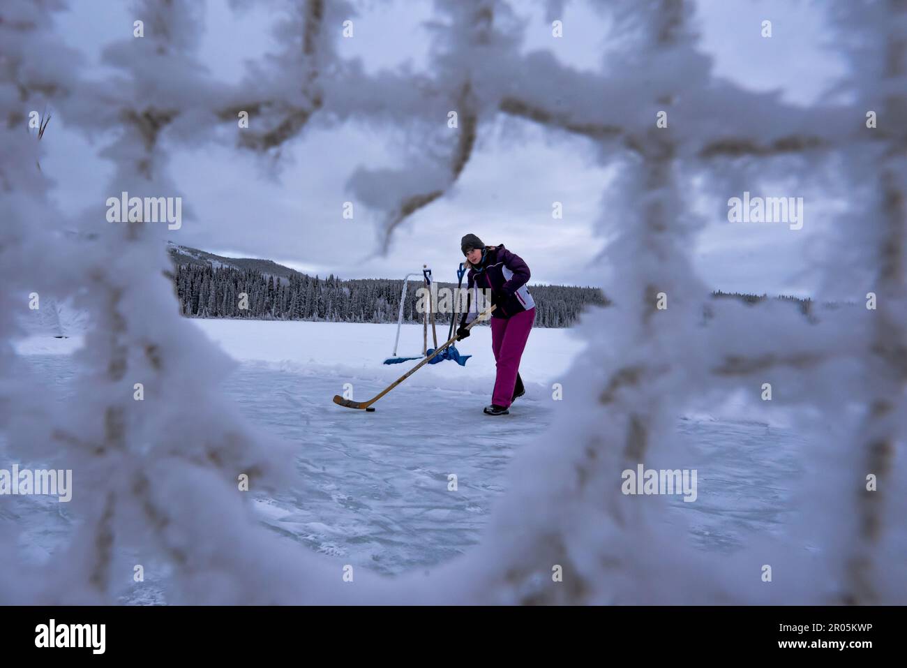 Donna che gioca l'hockey in stagno nel territorio di Yukon, Canada del nord in inverno su un lago ghiacciato. Foto Stock