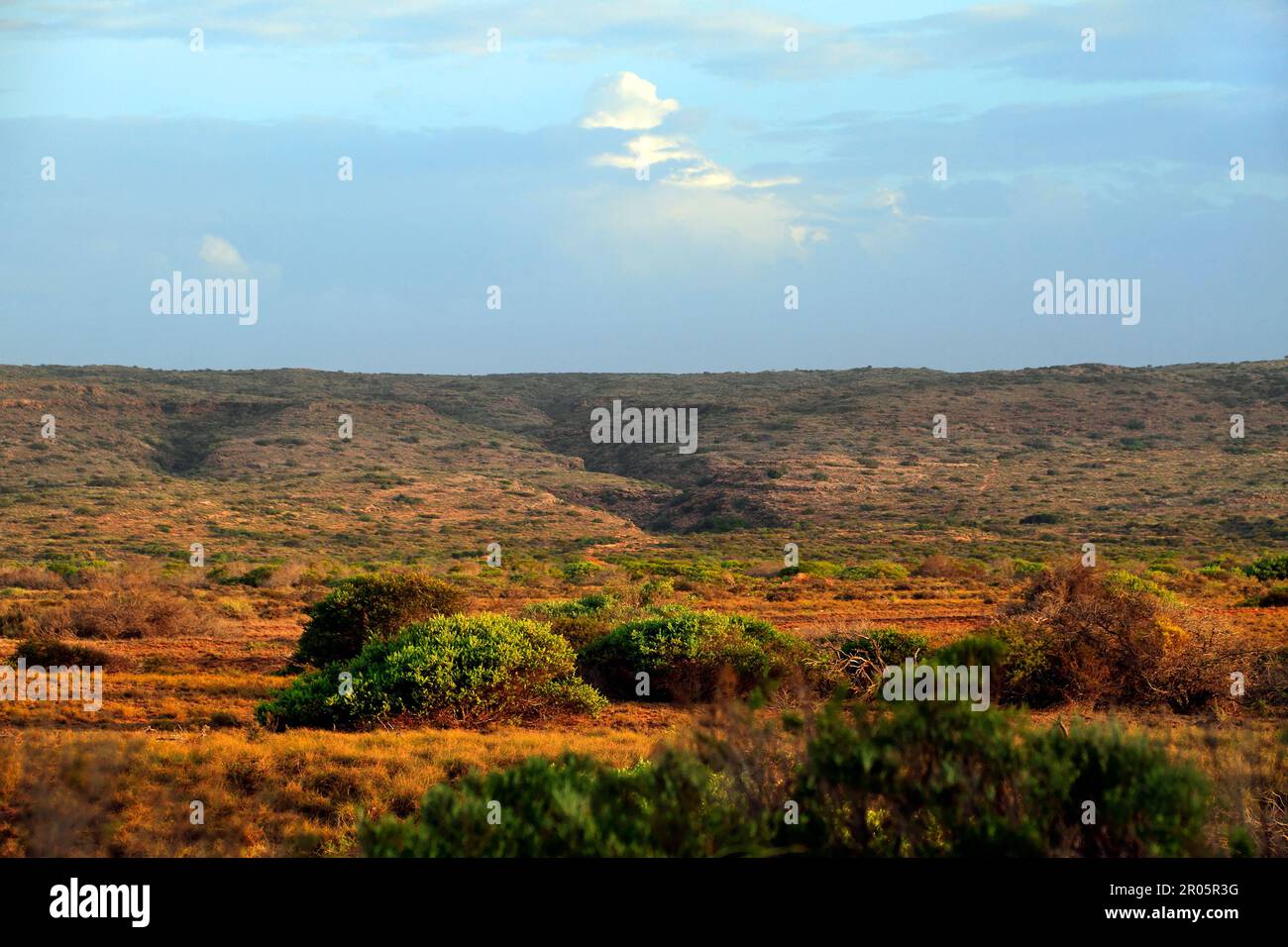 Savannah paesaggio, Cape Range National Park, nord-ovest Australia Foto Stock