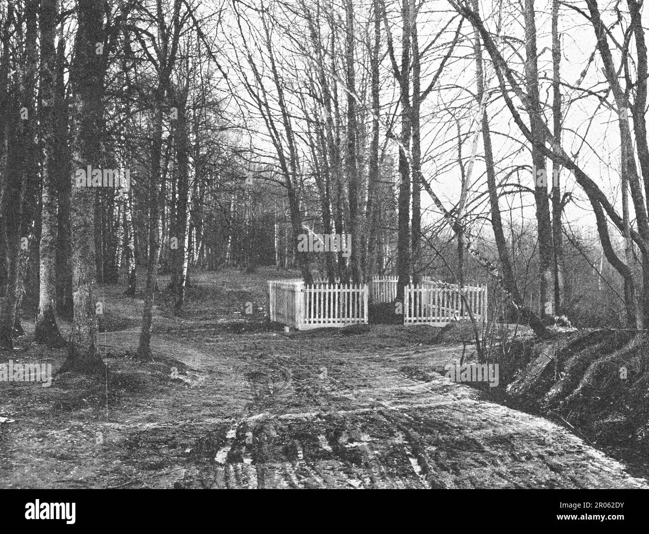 Vista generale della tomba di Leo Tolstoy. Foto scattata il 15 novembre 1910. Foto Stock