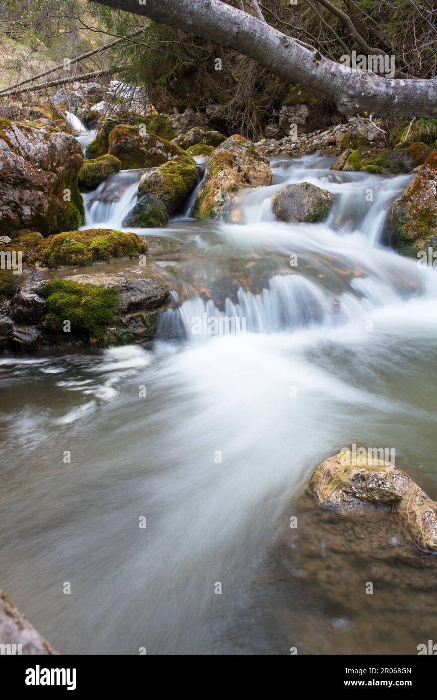 lunghe esposizioni all'acqua di un torrente nlle dolomiti Foto Stock