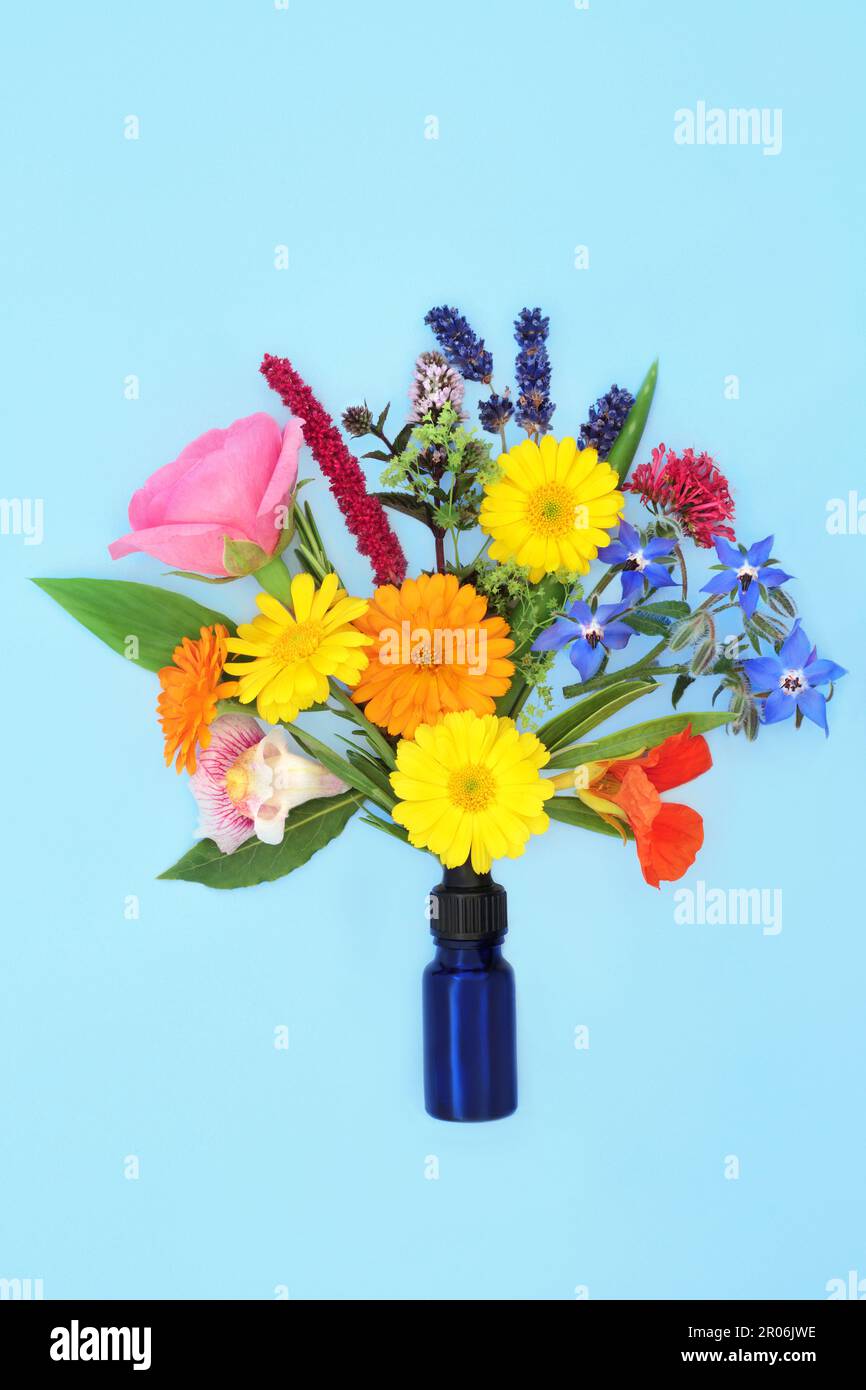 Surreale estate fiori ed erbe composizione utilizzata in aromaterapia oli essenziali per trattamenti di erbe vegetali naturali medicina. Foto Stock