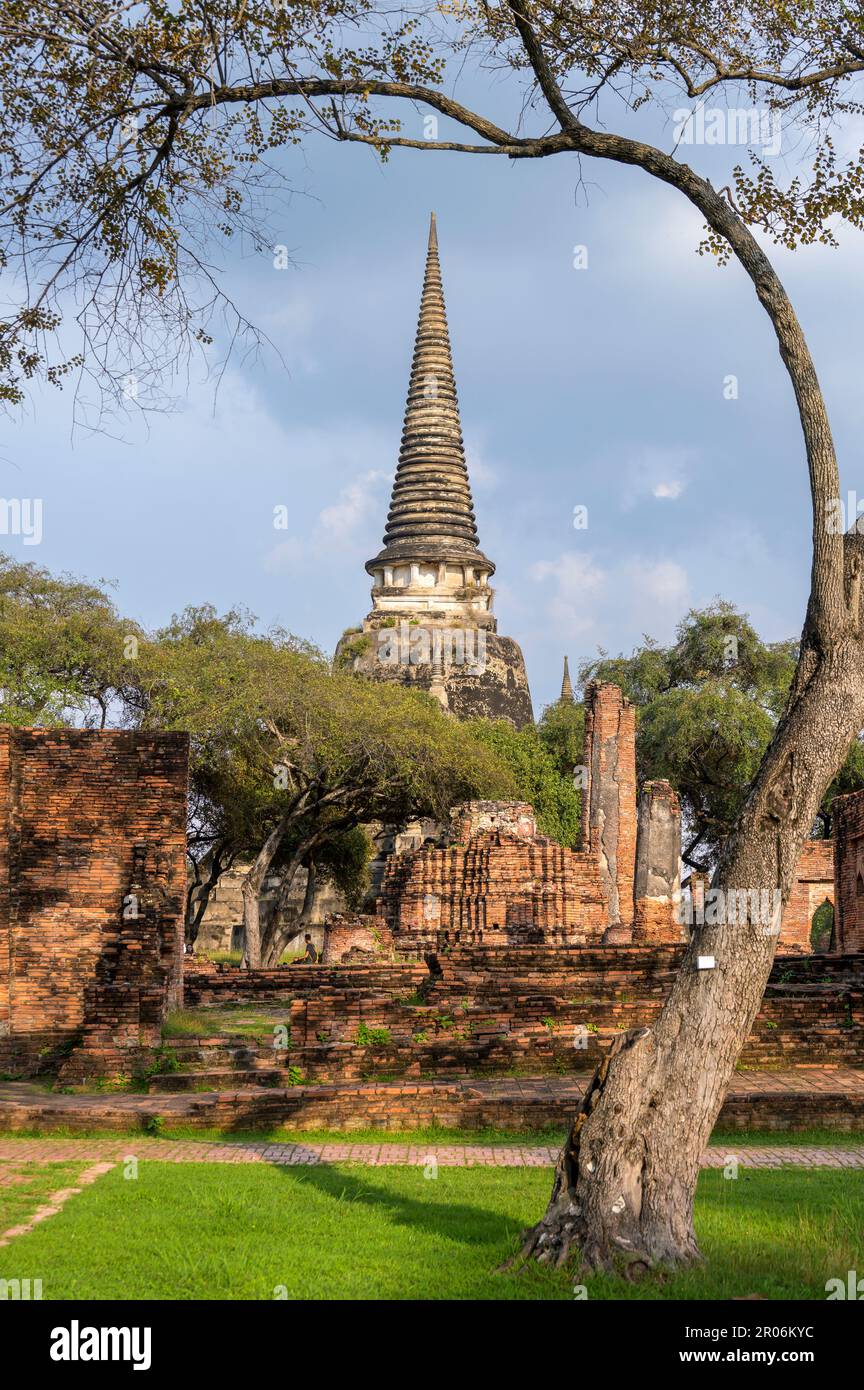 Wat Phra si Sanphet 'Tempio del Santo, splendido Onnisciente' era il tempio più sacro sul sito del vecchio Palazzo reale nell'antica capitale della Thailandia Foto Stock