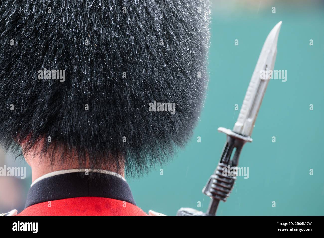 The Mall, Londra, Regno Unito. 6th maggio 2023. Gocce di pioggia sul cappello di bearskin di un membro delle forze armate britanniche in parata sul Mall durante la processione per l'incoronazione di re Carlo III Foto di Amanda Rose/Alamy Live News Foto Stock