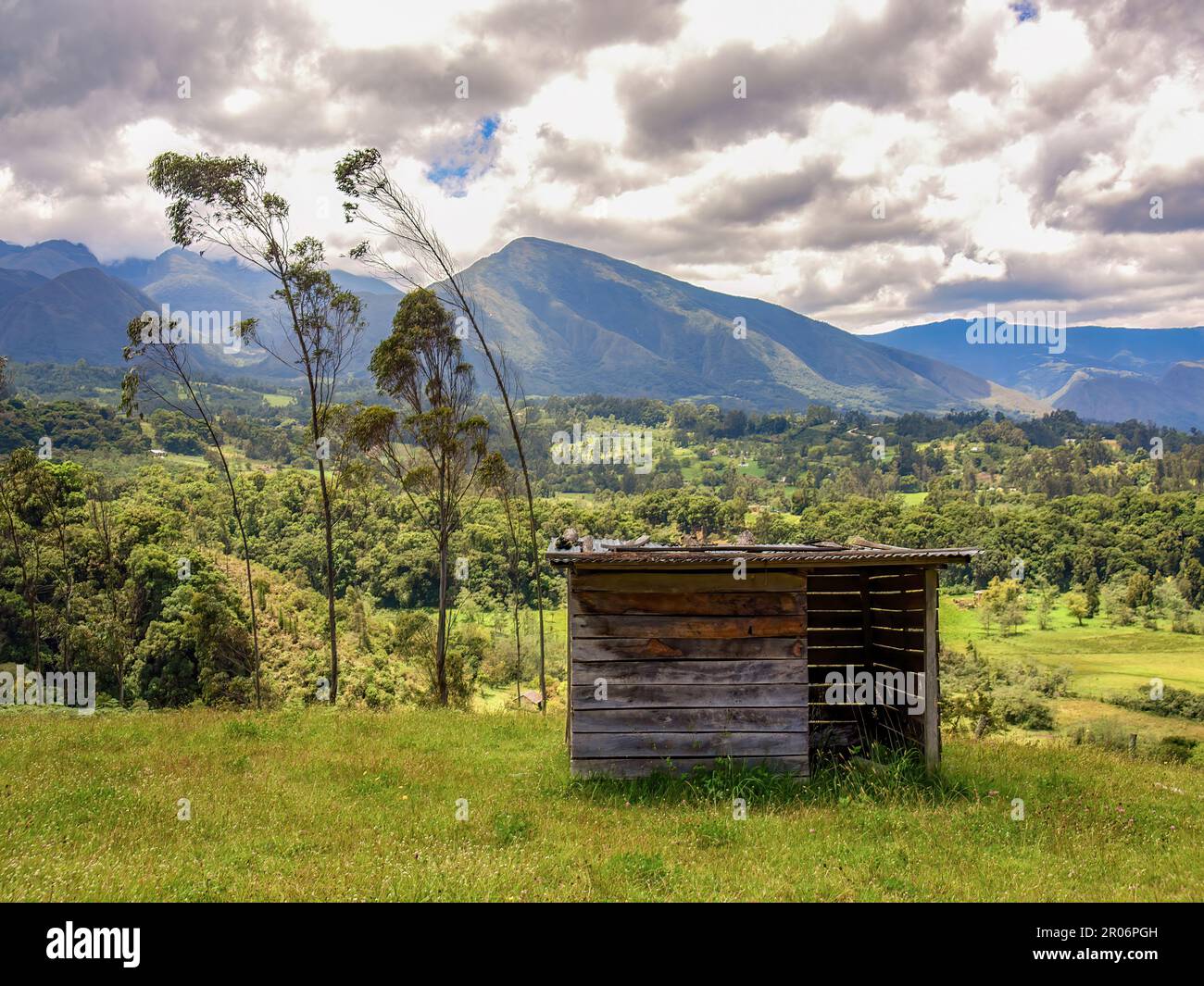 Vista di un antico casolare in legno abbandonato in un campo agricolo, circondato da eucalipti e querce colombiane, nel mezzo delle montagne vicino a. Foto Stock