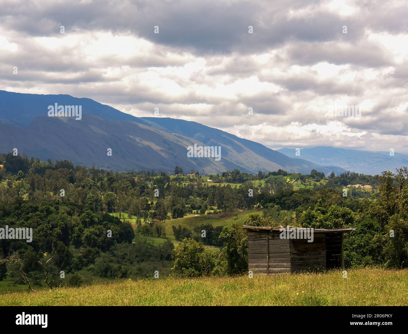 Vista di un antico casolare in legno abbandonato in un campo agricolo, circondato da eucalipti e querce colombiane, nel mezzo delle montagne vicino a. Foto Stock