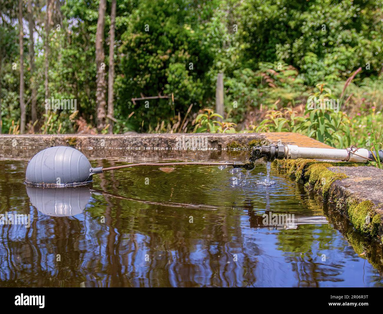 Fotografia ravvicinata di una vecchia valvola a galleggiante del serbatoio dell'acqua con un'asta arrugginita in un tubo di plastica che perde, in un serbatoio rustico in un campo vicino alla città di Foto Stock