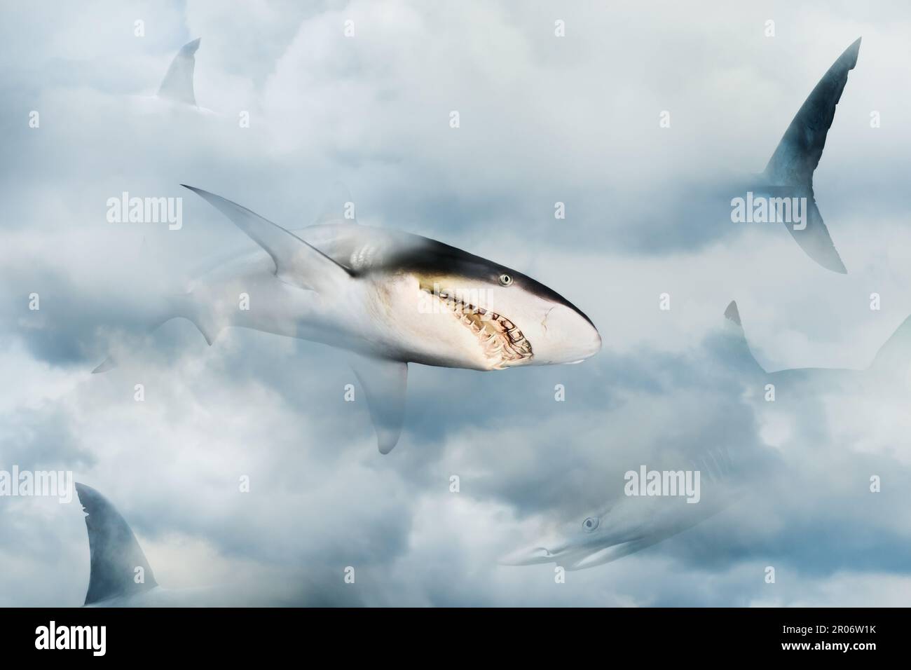 Primo piano degli squali che attraversano le nuvole. Concetto di dominazione, competizione e potere. Foto Stock