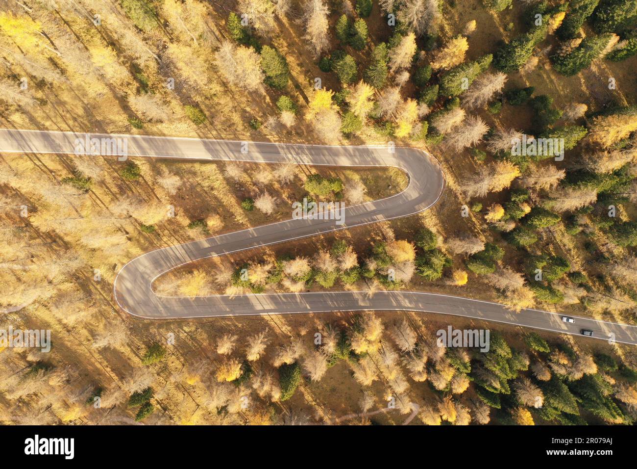 Vista aerea della foresta di larici autunnali nelle Dolomiti, nelle Alpi italiane: Toni dorati e strutture montane dall'alto Foto Stock