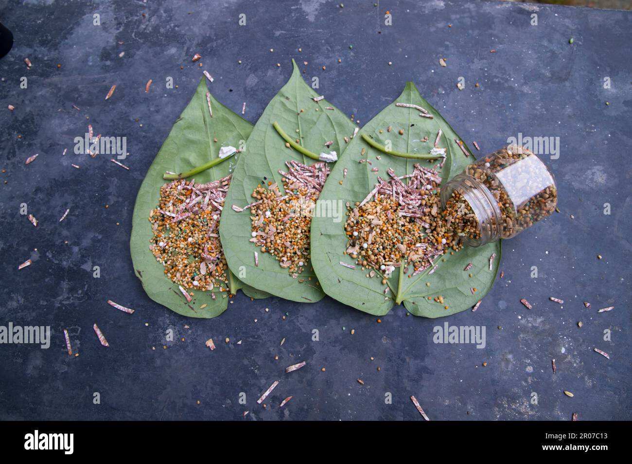 Decorazione verde betel foglia sul pavimento in cemento con betel noce, masala dolce, e lime Foto Stock