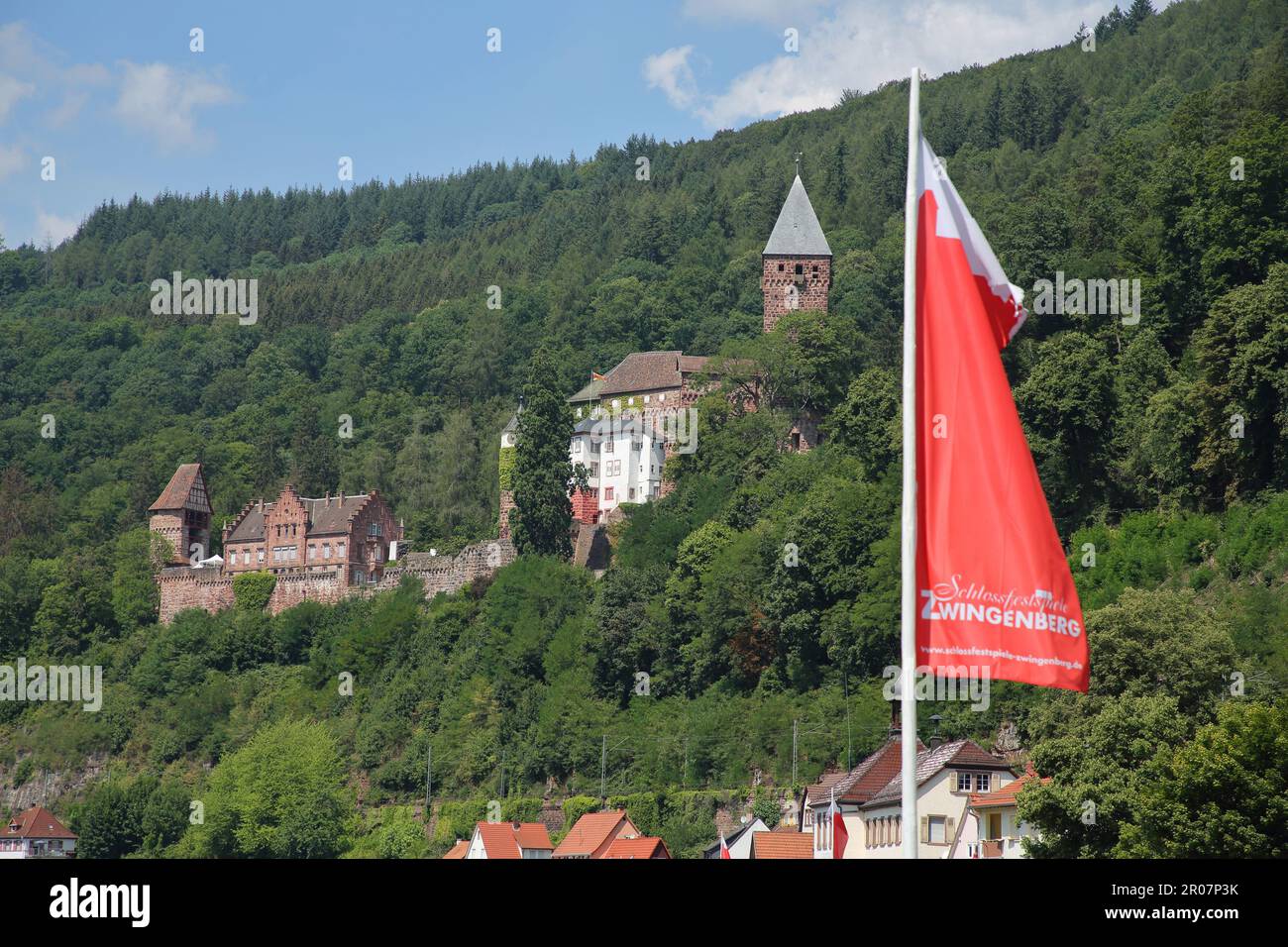 Vista sul castello di Zwingenberg am Neckar, Valle del Neckar, Baden, Baden-Württemberg, Germania Foto Stock