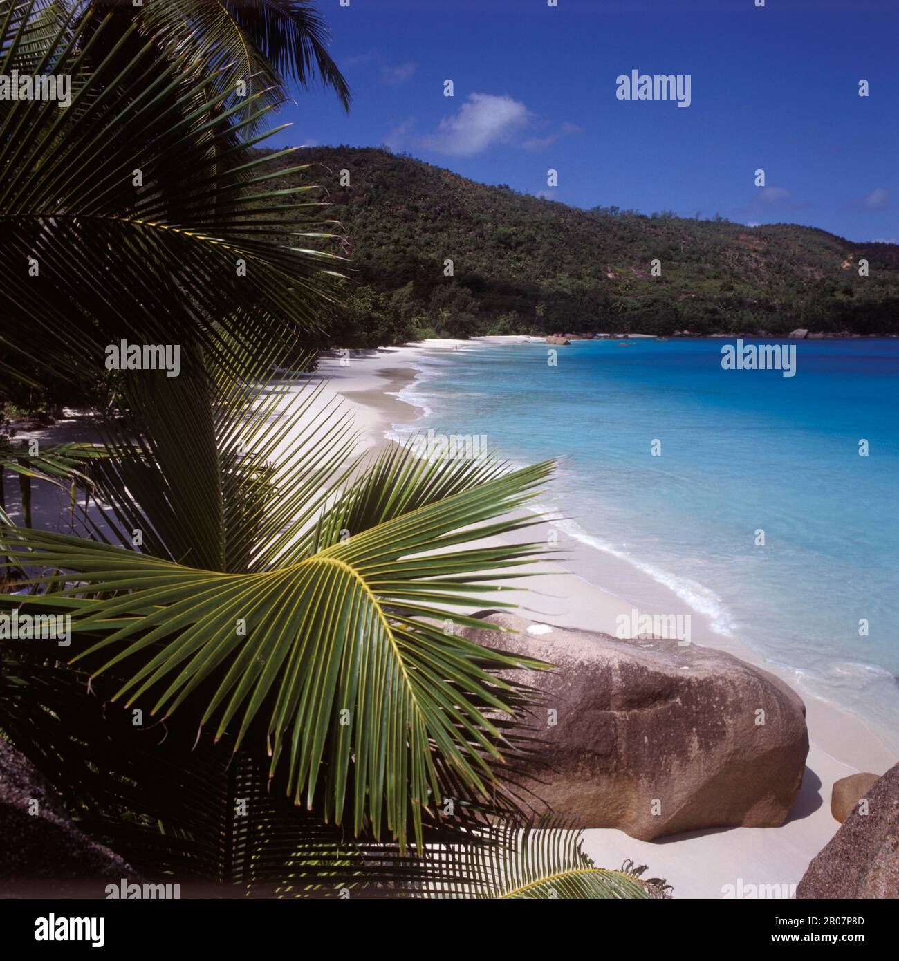 Weisser Sandstrand Anse Lazio, Blaues Meer, Palmen, Praslin Seychellen Foto Stock