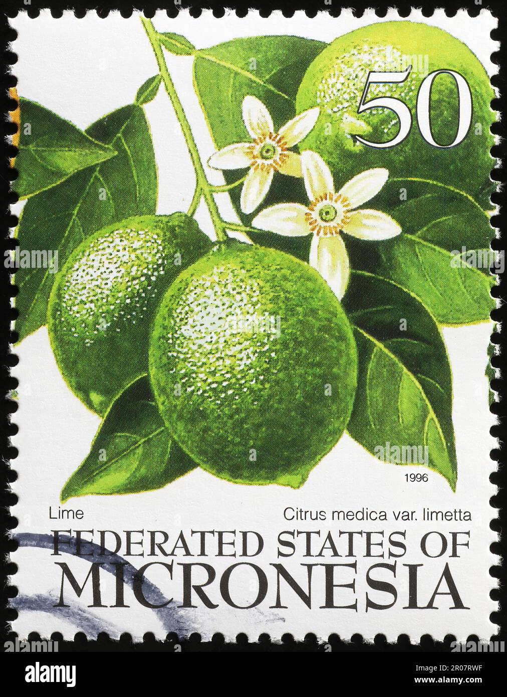 Primo piano di lime sul francobollo di Micronesia Foto Stock