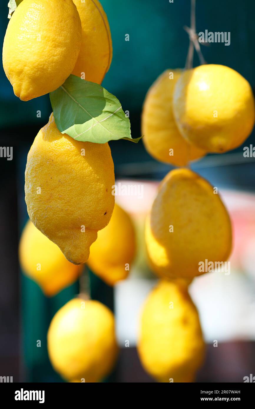 Limoni Foto Stock
