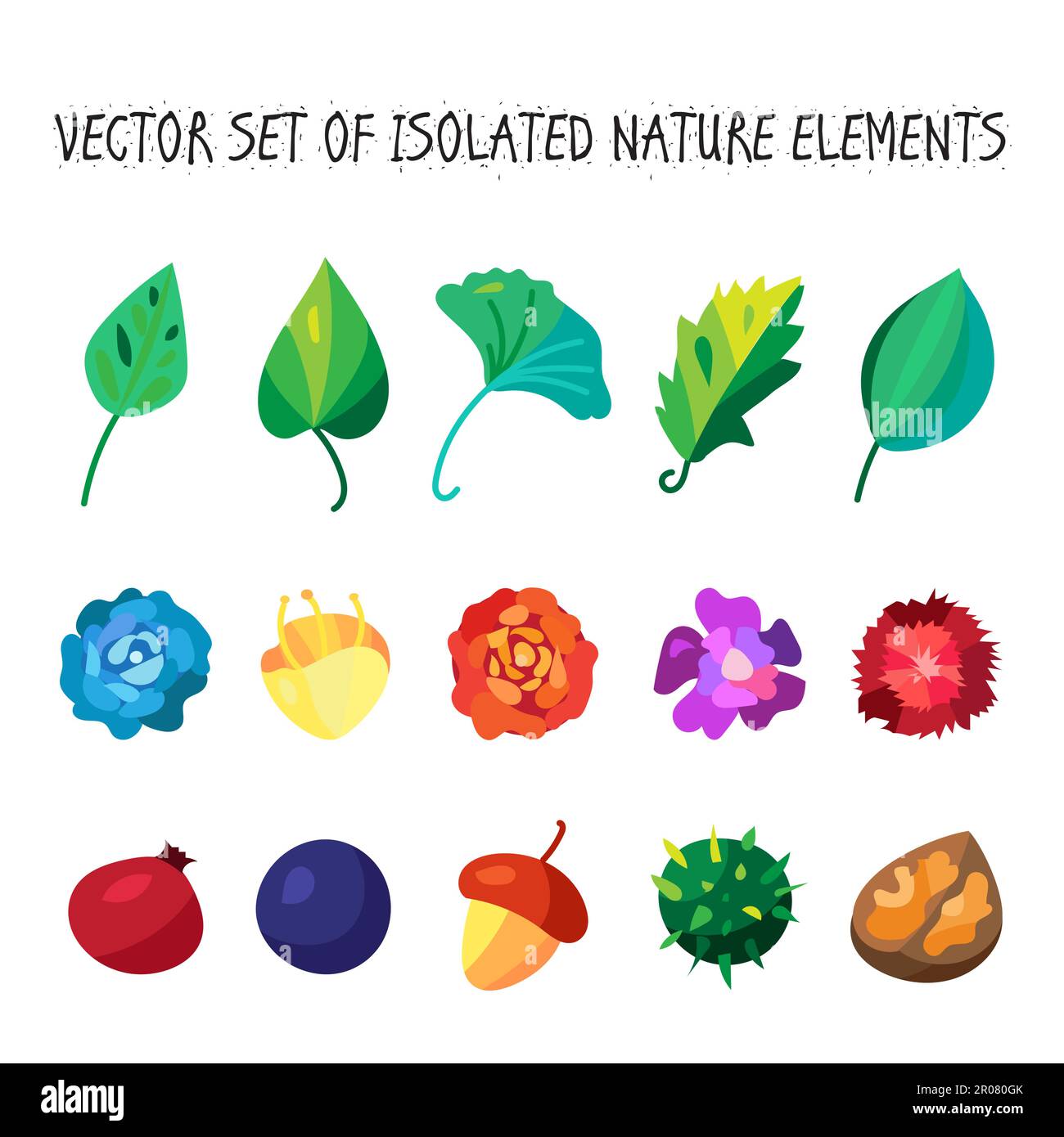 Vintage fiori, frutti e foglie raccolta di icone. Vettore Illustrazione Vettoriale