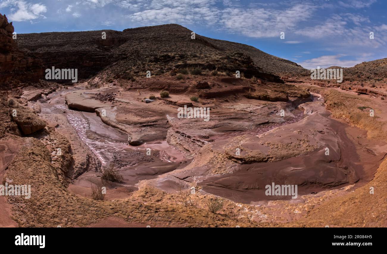 La prima curva della forcella sud del Canyon di SOAP Creek a Marble Canyon Arizona. Foto Stock