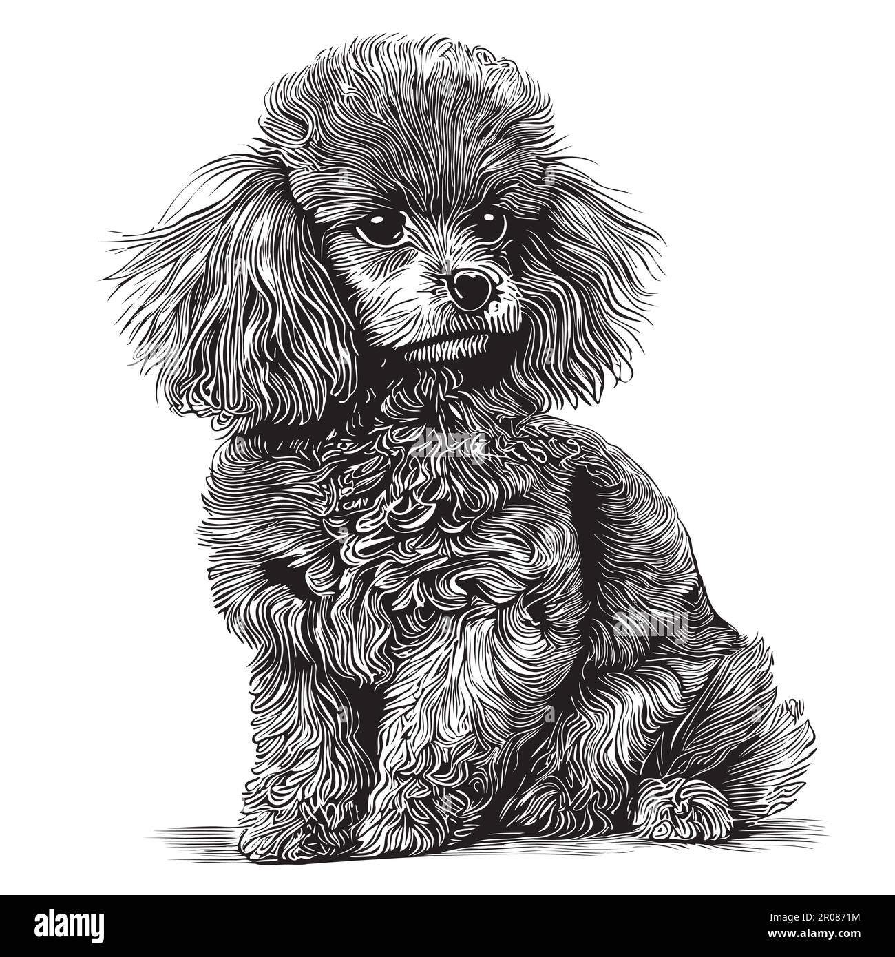 Toy Poodle disegno disegnato a mano in figura stile doodle Illustrazione Vettoriale