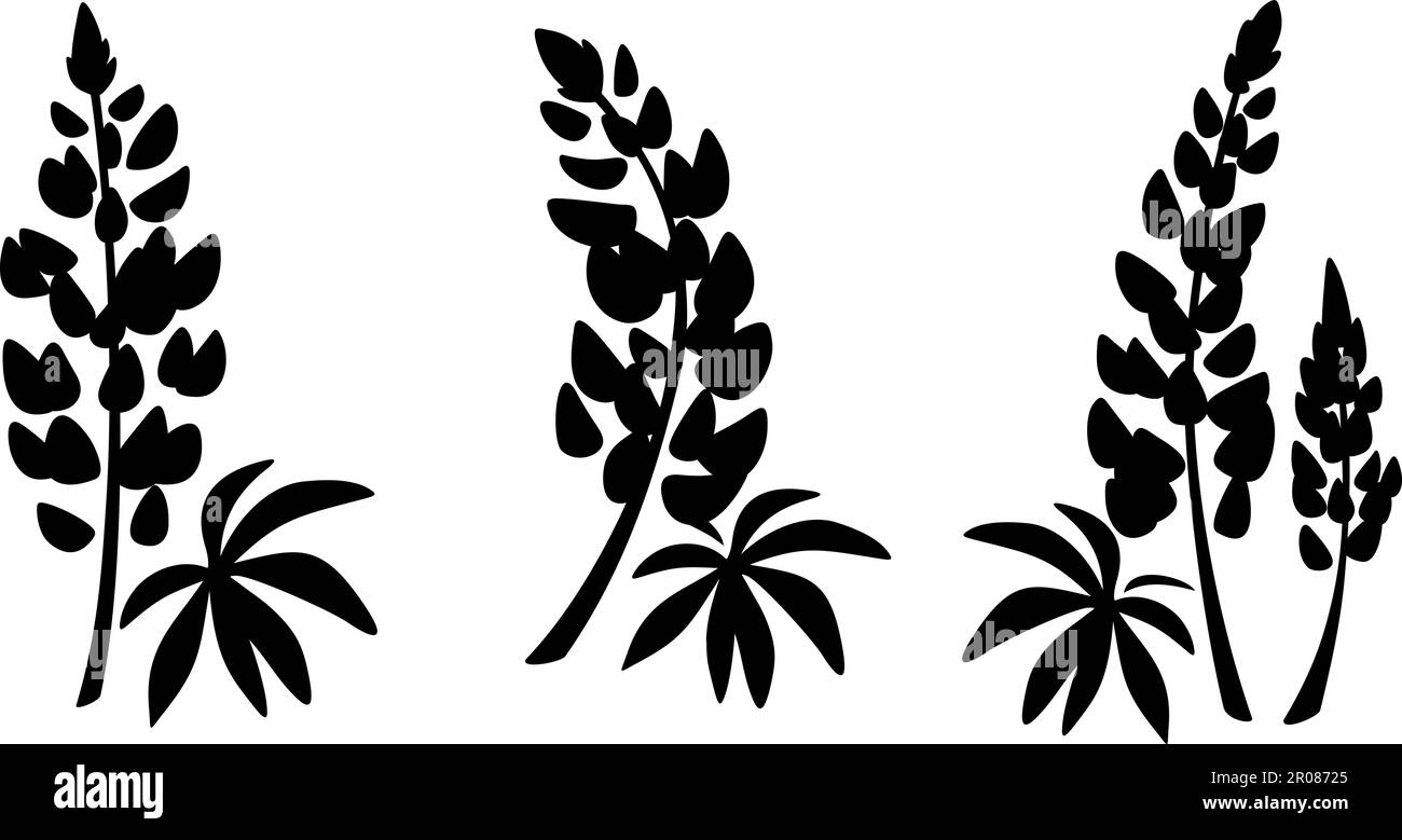 Lupino fiori. Silhouette nere di fiori lupini isolate su sfondo bianco. Set di illustrazioni vettoriali Illustrazione Vettoriale