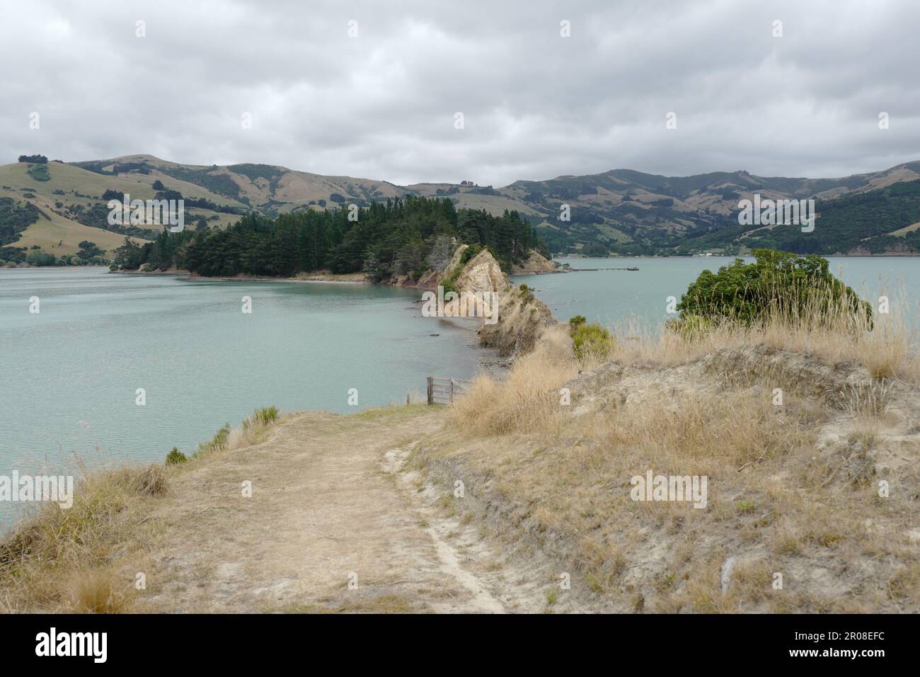 Scogliere gialle a Barrys Bay sull'Isola Sud della Nuova Zelanda Foto Stock