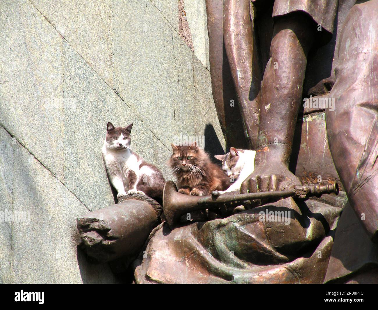 Gatti che riposano sul monumento di bronzo Foto Stock