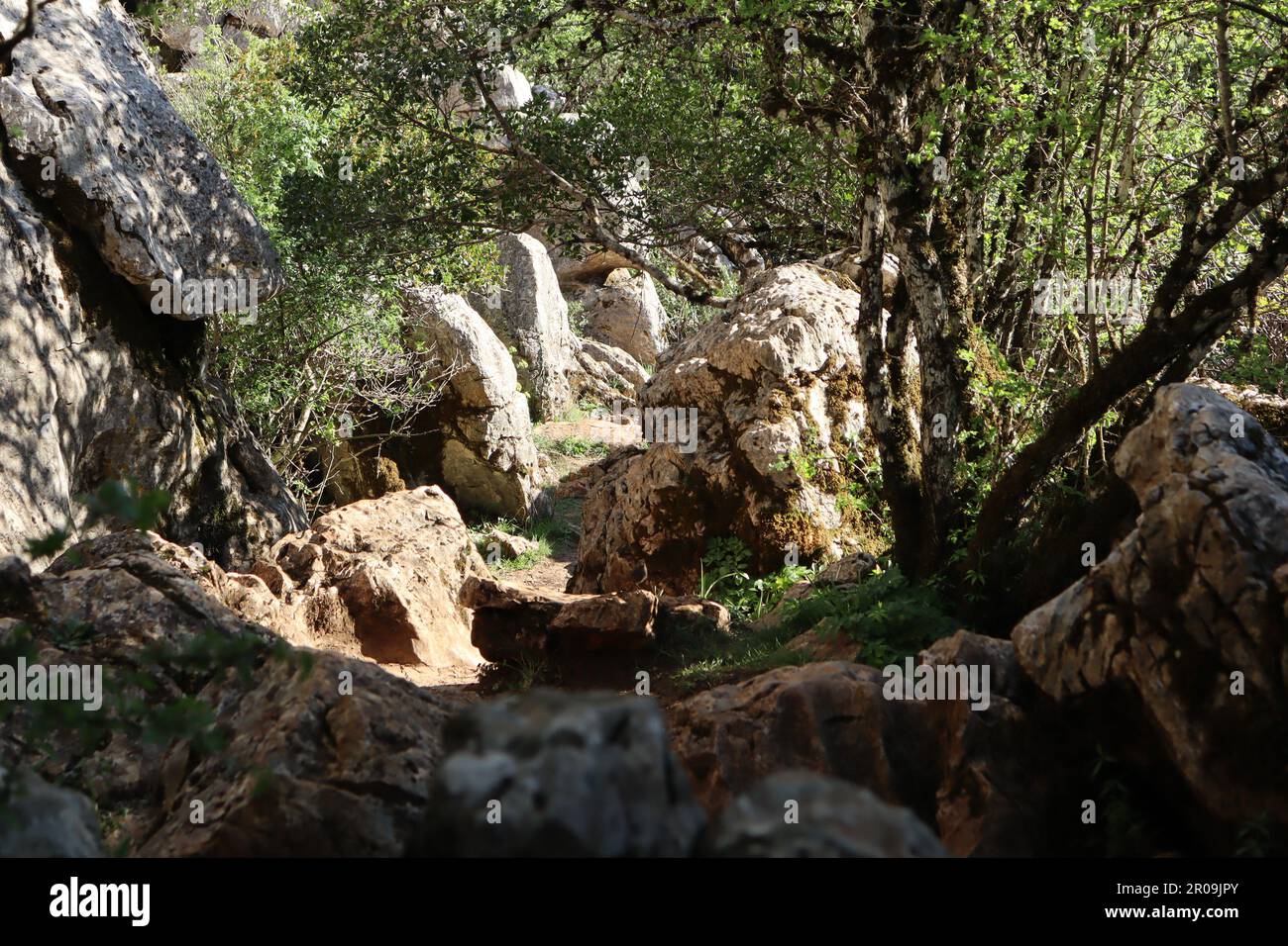 Sentiero escursionistico, POV, El Torcal de Antequera parco naturale, Andalusia, Spagna Foto Stock