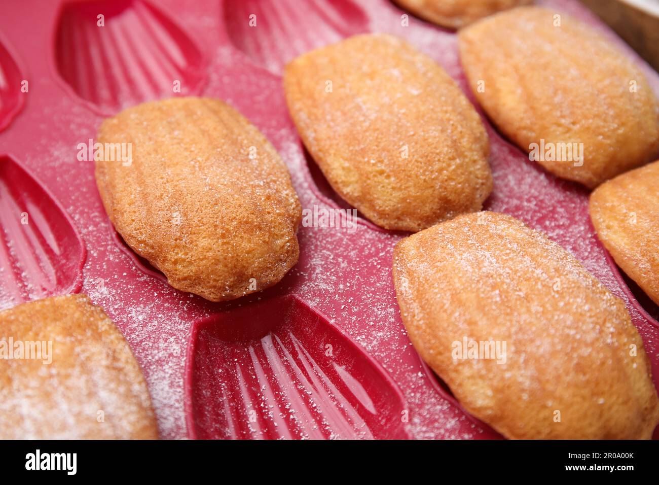 Deliziosi biscotti madeleine in stampo da forno, primo piano Foto stock -  Alamy