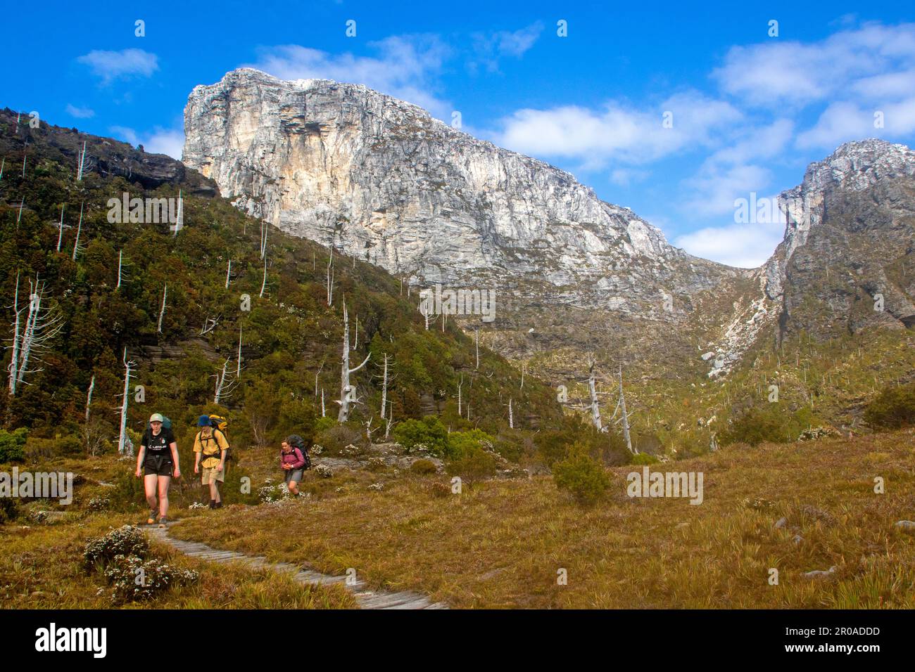 Escursionisti sotto Frenchmans Cap Foto Stock