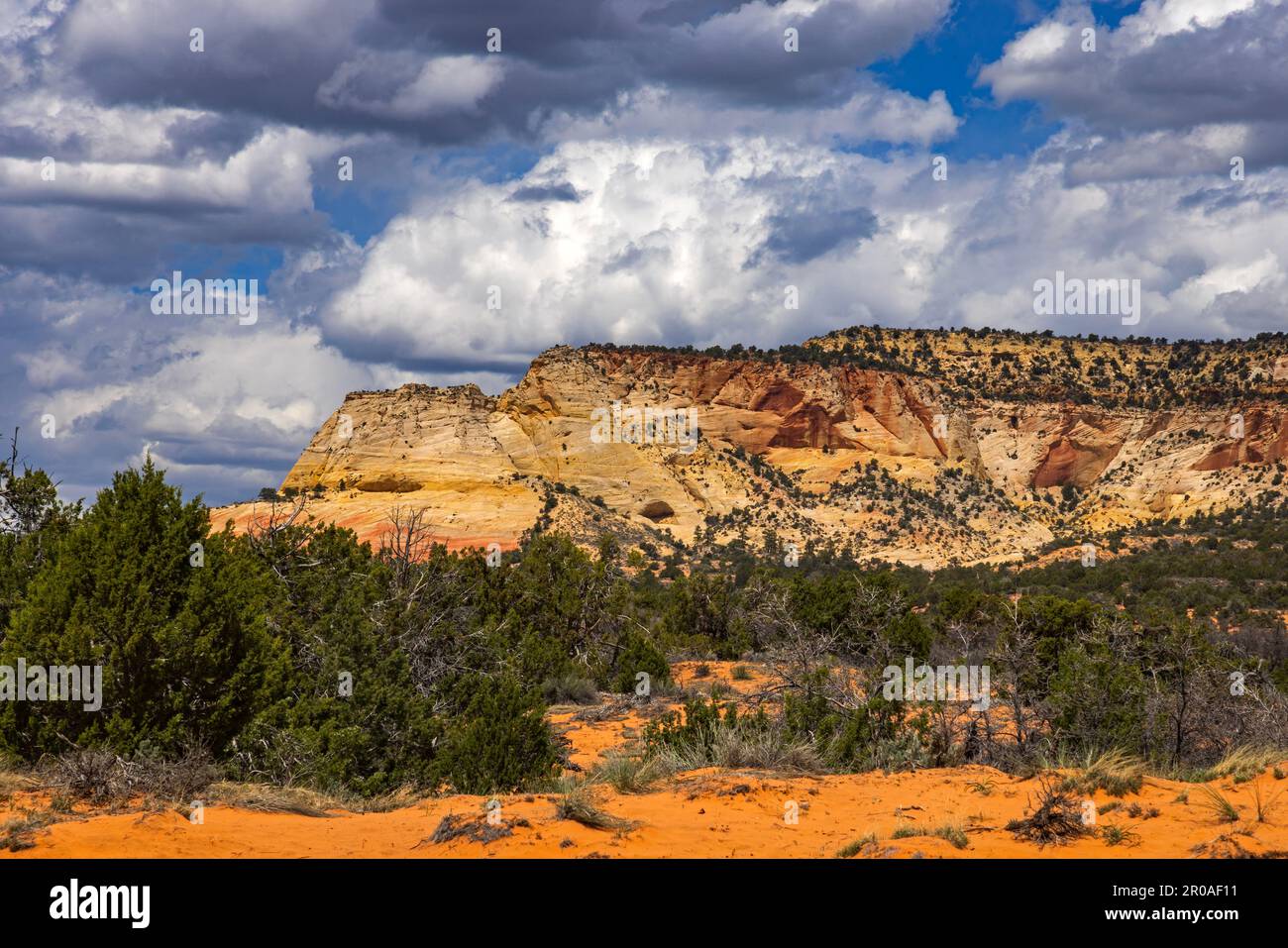 Una vista del Trono di Diana, una mesa spettacolare visibile sulla terra di BLM lungo la US 89 circa 4 miglia a sud-est di Mt. Carmel Junction, Kane County, Utah, USA. Foto Stock