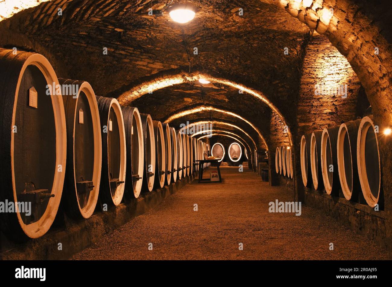 Vecchia cantina con botti di legno sotto il castello facendo vino Foto Stock