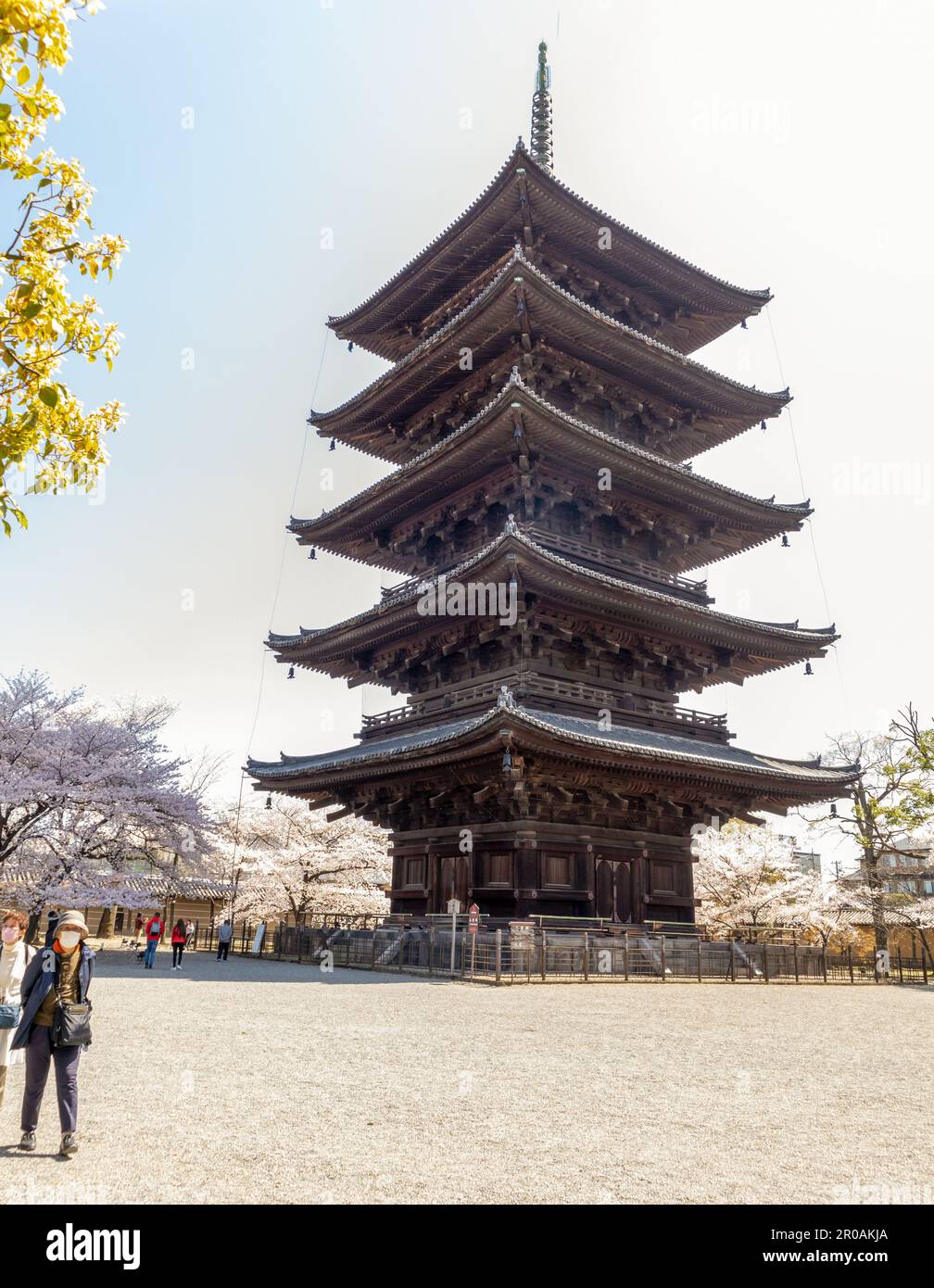 Kyoto Giappone - 28 marzo 2023: To-ji Gojunoto (Pagoda a cinque piani) e Sakura in fiore nel tempio to-ji a Kyoto, Giappone Foto Stock
