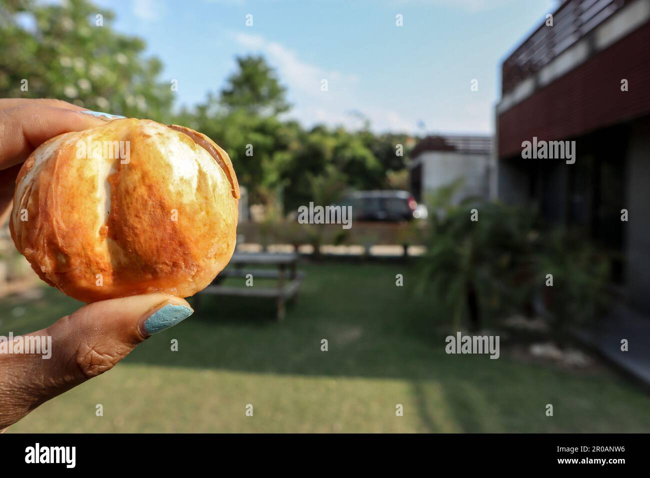 Borassus flabellifer comunemente noto come palma da vino, o mela ghiacciata, è nativo del subcontinente indiano Foto Stock
