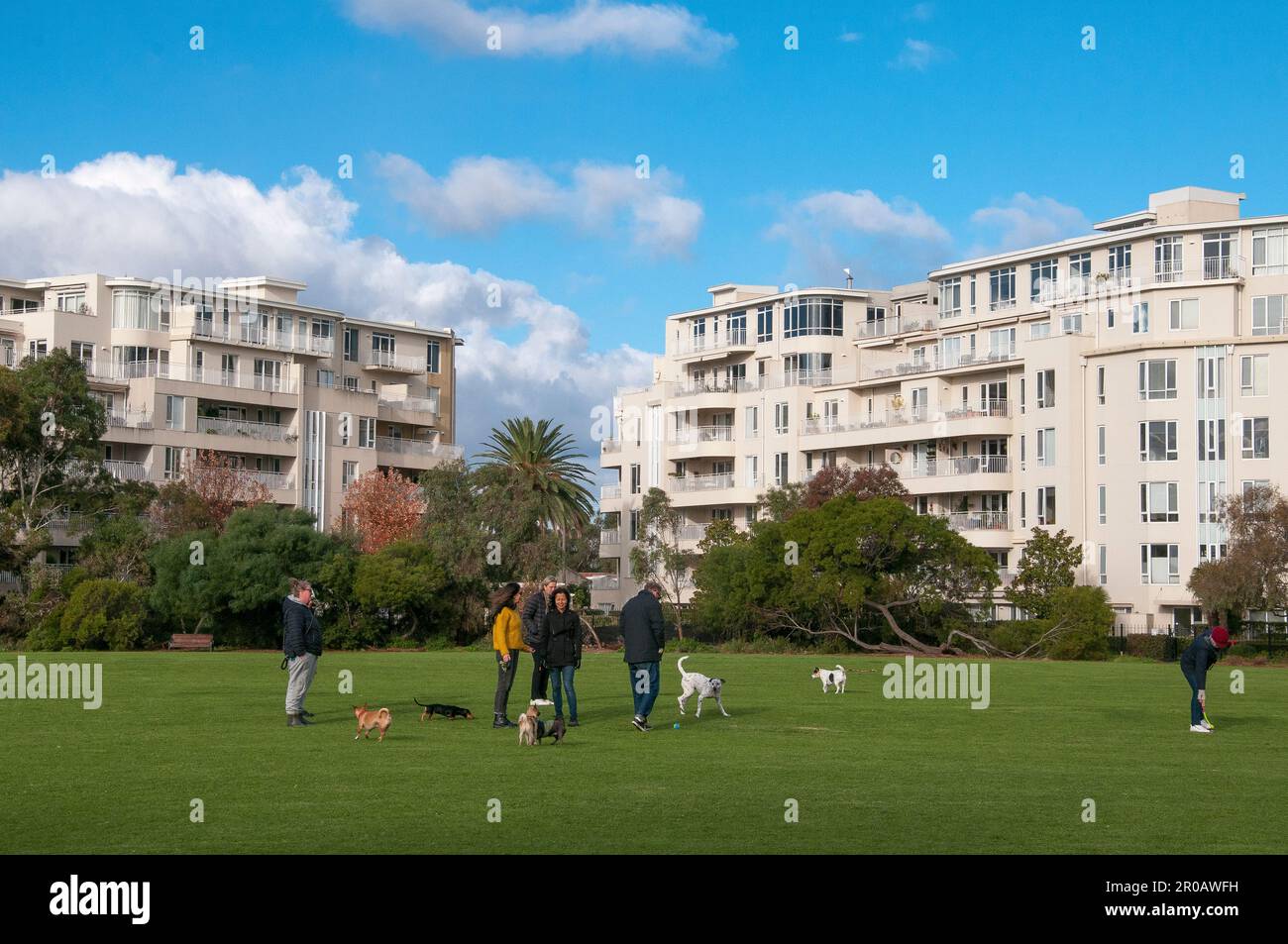 Cani e loro proprietari fuori di un complesso di appartamenti a Port Melbourne, Victoria, Australia Foto Stock