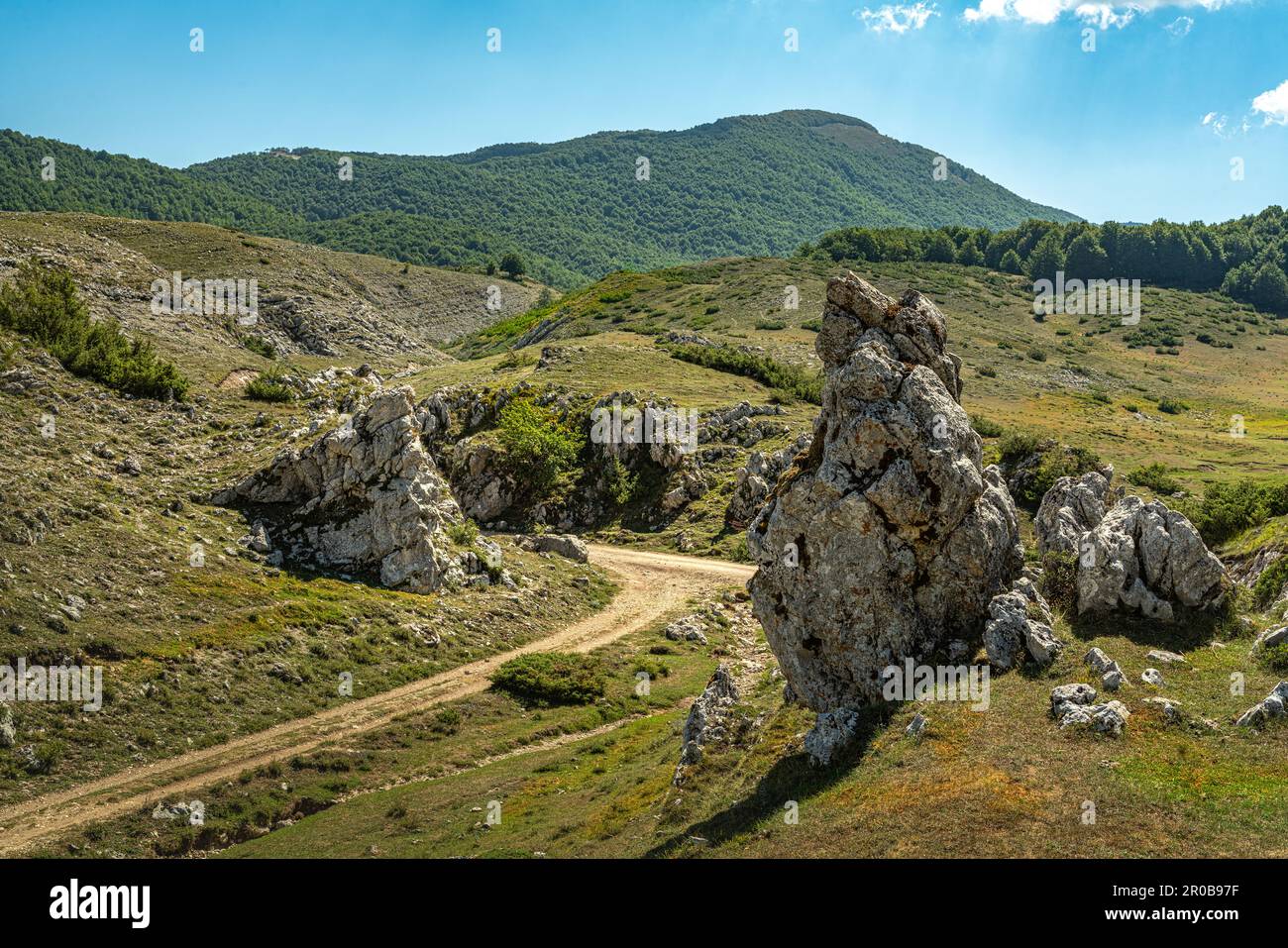 Campo della pietra.Rugged altipiani carsici e faggi freschi lungo la carrareccia che conduce al santuario della Santissima Trinità di Vallepietra Foto Stock