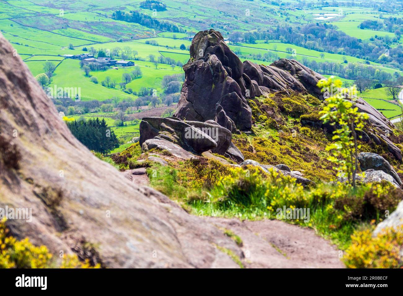 Ramshaw Rocks nella zona di Staffordshire Moorlands del Peak District Foto Stock